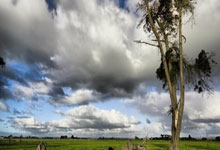 28圈- Faker与40激战RNG分钟，晋级下一阶段胜负难料！，库里焦点对战观众掌声雷动